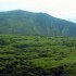 iceland_1