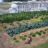 EarthTalkPrisonGardens2