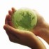 The glamour and grammar of teaching abroad