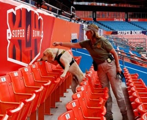 Local Miami K-9 team performing a security check