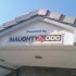 Naughty Dog's Shelter.