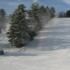 Let is snow
