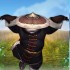 The Pandaren Monk