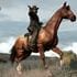 Red_Dead_Redemption