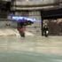 Capture Capture