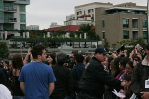 Twilight Night Crowd