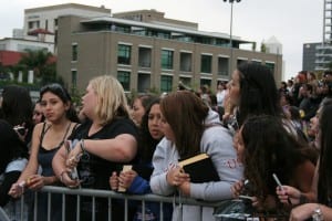 Twilight Night Crowd