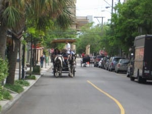 Classic Charleston carriage rides will show you the city (Blast staff photo/Erica Marcus)