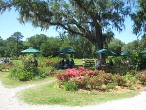 The gardens at Magnolia Plantation are breathtaking (Blast staff photo/Erica Marcus)