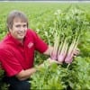 101016_red_celery1