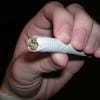 220px-Spliff_Joint_Twig_Dooby_Jay_ 220px-Spliff_Joint_Twig_Dooby_Jay_