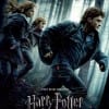 Harry-Potter-and-the-Deathly-Hallows-Movie-Poster-Large
