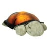 Twilight Turtle Constellation Night Light Twilight Turtle Constellation Night Light