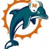 dolphins
