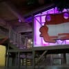 redfrog3
