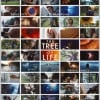 Thetreeoflifeposter Thetreeoflifeposter