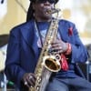 Clarence Clemons performs at the Miami Dolphins Tailgate Concert at Sun Life Stadium on November 14 in Miami (WireImage)