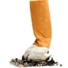 Cigarette-butt Cigarette-butt