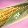 The release of genetically modified organisms into the environment threatens genetic diversity, which is essential for global food security. And a lack of genetic diversity in agriculture, says Greenpeace, can already be linked to many of the major crop epidemics in human history. (Media credit/Punch Stock) The release of genetically modified organisms into the environment threatens genetic diversity, which is essential for global food security. And a lack of genetic diversity in agriculture, says Greenpeace, can already be linked to many of the major crop epidemics in human history. (Media credit/Punch Stock)