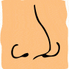 nose