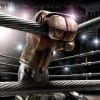 real_steel