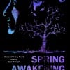 Spring Awakening F.U.D.G.E