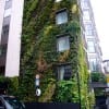 Green walls, or "vertical gardens," are walls partly composed of or filled in with live plant matter. They filter air and water, soak up carbon dioxide and help lessen the “heat island” effect of urban areas while reducing air conditioning costs in their host buildings. Pictured: a vertical garden at the Anataeum Hotel in London. (Media credit/Niall Napier via Flickr)