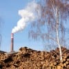 In theory, burning any kind of plant material for energy is a carbon-neutral endeavor, but chopping down forests for ethanol is unwise because they cannot be regrown quickly. And tree plantations don't provide the clean water, storm buffers, wildlife habitat and other ecosystem services that natural forests do. Pictured: A wood biomass plant. (Thinkstock)