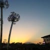 coachella