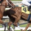 Enjoy a day at the track with David Milch's latest HBO drama, "Luck"