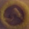 medium_65c55d6f44e6baa8a13bab520bab5bff
