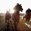 More gorgeous horse racing on the second episode of HBO's "Luck."