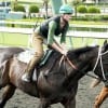 Gettin' Up runs the race of its life propelling Rosie (Kerry Condon) to victory in her jockeying debut.