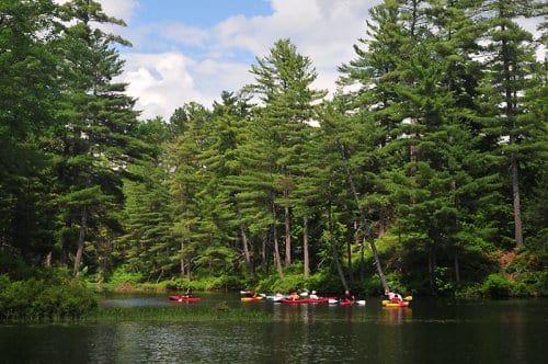 PuritySpring1309548851